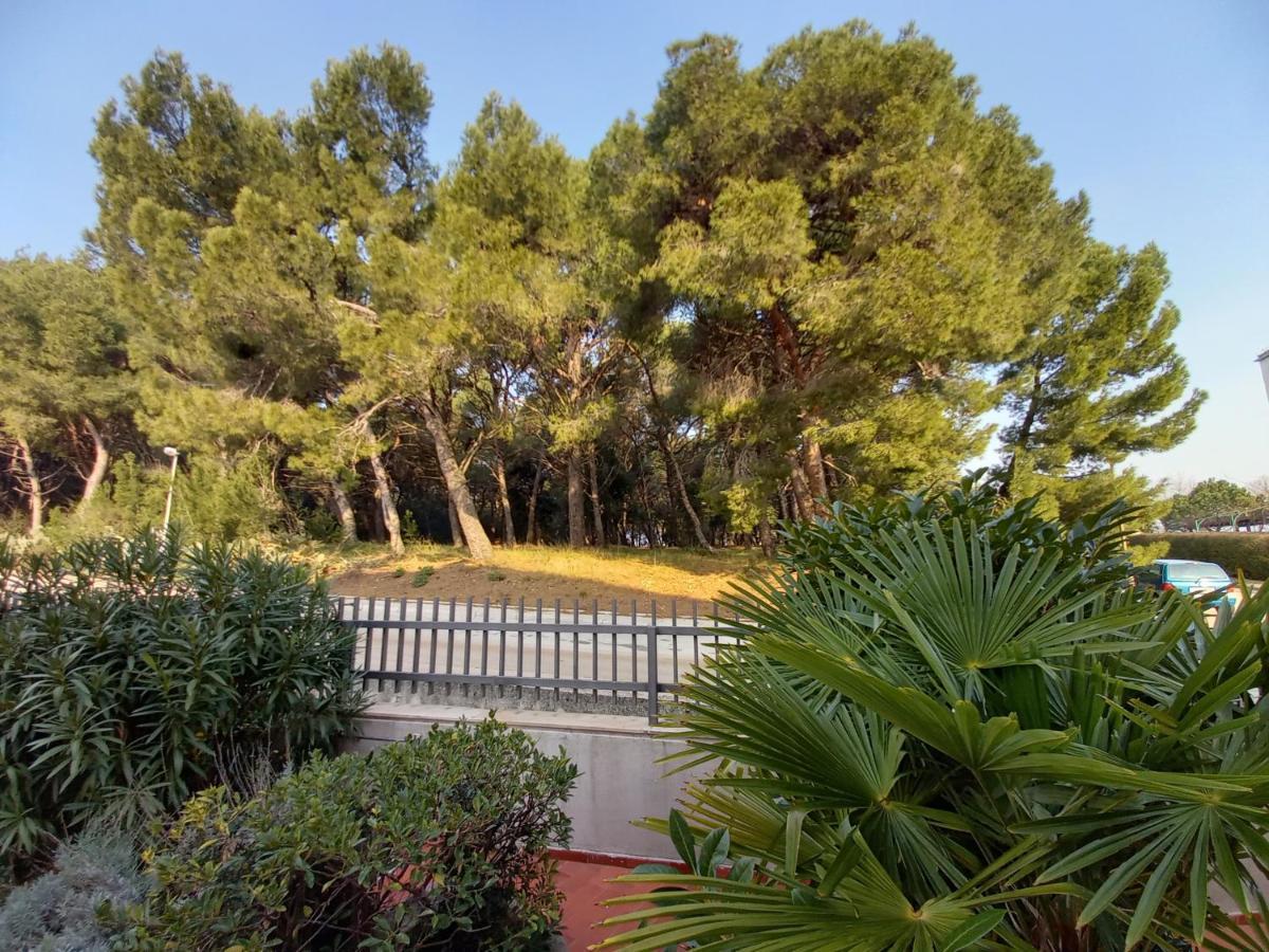 Apartments Lungo Pula Dış mekan fotoğraf